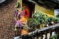 Housing in Old Town in Guangzhou, China